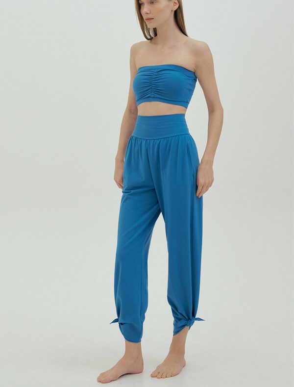 Studio pants blue front